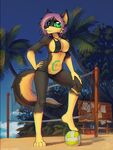  anthro beach big_eyes bikini canine clothing female looking_at_viewer macmegagerc mammal navel outside seaside smile solo sport swimsuit volleyball wide_hips 
