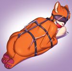  2017 anthro arh ball_gag bdsm blindfold body_harness bondage bound cat collar feline gag handle harness kneeling male mammal nude solo 