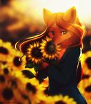 afternoon black_nose brown_fur brown_hair canine clothing day female flower fur green_eyes hair jackie-bunny leaf long_hair looking_at_viewer mammal outside plant scarf smile solo standing sunflower sunny 