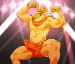  anthro avian clothing erection erection_under_clothes male penis sweat toto_(artist) 