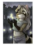  2010 anthro black_fur blonde_hair brown_eyes clothed clothing female firefly fur glowing grey_fur hair mammal michele_light midriff outside raccoon solo tree white_fur 