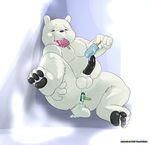  anal anal_penetration balls bear cartoon_network eating food ice_bear improvised_dildo improvised_sex_toy male mammal penetration penis polar_bear popsicle solo ursofofinho we_bare_bears 