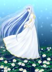  74 blue_eyes blue_hair bridal_veil bride circlet dress fire_emblem fire_emblem:_seisen_no_keifu flower lily_pad long_hair solo veil very_long_hair wedding_dress yuria_(fire_emblem) 
