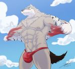  abs anthro areola barazoku bulge canine clothed clothing eyewear fangs fur glasses gums hat headgear male mammal manly mascot miguel_okami mostly_nude navel nipples old_spice outside pecs pubes ripping sharp_teeth shirt smile solo speedo standing swimsuit teeth thick_thighs torn_clothing wolf wolfthorn_(old_spice) 