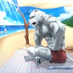  2017 abs anthro beach biceps clothed clothing feline fur grimoire_of_zero hi_res kemono male mammal mercenary_(character) muscular muscular_male outside pecs seaside skarltano stripes summer swimsuit tiger topless white_fur white_tiger 