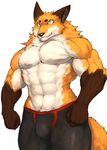  2017 abs anthro biceps canine clothed clothing flakjacket0204 fox fur hi_res male mammal muscular muscular_male pecs shorts topless 