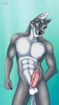  2017 5_fingers abs anthro athletic balls black_nose blue_background blue_eyes canine cinta erection fur grey_fur grey_hair hair hand_behind_back humanoid_penis looking_aside male mammal multicolored_fur muscular nude penis pink_penis pose simple_background smile solo standing two_tone_fur vein white_fur wolf 
