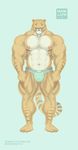  2017 abs anthro areola big_arms blue_eyes bulge clothed clothing feline front_view hi_res hybrid hyper hyper_muscles liger looking_at_viewer mainlion male mammal markings muscular muscular_male nipples partially_clothed pecs simple_background solo standing stripes thick_thighs underwear url veiny_muscles 
