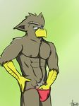  arrwulf avian brown_fur clothing crotch_grab eyewear fur glasses grope male pubes simple_background solo thong 