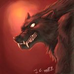  2007 angry anthro black_fur black_nose bust_portrait canine digital_media_(artwork) fangs fur jc_(artist) looking_at_viewer low_res male mammal portrait red_background side_view signature simple_background snarling snout solo teeth were werewolf white_eyes 