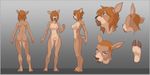  anthro areola blue_eyes breasts brooke_(luvbites) brown_hair cervine deer facial_piercing female fur grey_background hair hi_res luvbites mammal model_sheet nose_piercing nude piercing pussy side_view simple_background solo wolfy-nail 