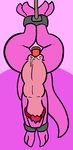  2017 anthro bdsm bondage bound digital_media_(artwork) dildo female kobold nude penetration pussy reptile scalie sex_toy solo spaffy suspension trout_(artist) vaginal vaginal_penetration 