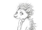  2017 crying female mammal oddwilds porcupine rodent sad sketch solo tears 