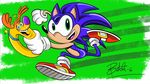  2016 abstract_background blue_eyes buckle butch_hartman canine clothing collar crown dog footwear green_eyes hedgehog legwear looking_at_viewer mammal ring shoes smile sneaker socks sonic_(series) sonic_the_hedgehog sparky_(fairly_odd_parents) star teeth 