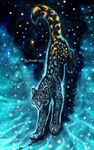  2017 ambiguous_gender black_fur feline flashw fur leopard mammal night paws sky spots spotted_fur star starry_sky whiskers 