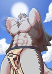  2017 abs anthro big_muscles big_pecs black_nose blue_sky body_hair bulge canine chest_hair clothed clothing cloud day digital_media_(artwork) front_view fur green_eyes grey_fur hands_behind_head headband hi_res horkeukamui loincloth looking_at_viewer looking_down low-angle_view male mammal miguel_okami multicolored_fur multicolored_tail muscular muscular_male nipples outside pecs pink_nipples portrait pubes signature sky smile solo standing sun three-quarter_portrait tokyo_afterschool_summoners two_tone_fur white_fur white_tail wolf 