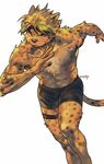  2017 abs anthro cheetah clothing feline fur hair male mammal qlfkrtlrgp2 shorts 