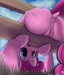  absurd_res anus blue_eyes butt clip_clop cutie_mark dock earth_pony equine female feral friendship_is_magic grass hair hi_res horse mammal my_little_pony open_mouth outside pink_hair pinkie_pie_(mlp) pony pussy pussy_juice solo 