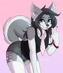  2017 5_fingers ambiguous_gender anthro blep blue_eyes bracelet canine clothed clothing cutoffs denim_shorts fluffy fluffy_tail fur grey_(character) hair hi_res himouto inner_ear_fluff jewelry legwear long_hair looking_at_viewer mammal multicolored_fur necktie pink_background polarlights pose shirt shorts simple_background smile solo stockings tank_top thigh_highs tongue tongue_out two_tone_fur wolf 