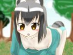  10s 1girl animal_ears bent_over blush breasts brown_eyes cleavage cloud downblouse extended_downblouse grey_hair hanging_breasts kemono_friends loose_clothes medium_breasts no_bra open_mouth raccoon_(kemono_friends) raccoon_ears raccoon_tail sky solo tail tree 