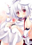  animal_ears bare_shoulders blush breasts cleavage detached_sleeves hikanyan inubashiri_momiji looking_at_viewer medium_breasts open_mouth pom_pom_(clothes) red_eyes short_hair silver_hair solo tail thighhighs touhou underboob white_legwear wide_sleeves wolf_ears wolf_tail 