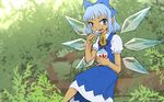  blue_eyes blue_hair branch cirno commentary_request dress eating flower hair_ribbon ice ice_wings looking_at_viewer meimaru_inuchiyo ribbon shaved_ice short_hair solo sunflower tan tanned_cirno touhou wings 