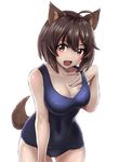  ahoge animal_ears ass_visible_through_thighs blue_swimsuit blush brave_witches breasts brown_eyes brown_hair cleavage collarbone commentary cowboy_shot eyebrows_visible_through_hair hair_ornament hairclip hand_on_own_chest hand_under_clothes hand_under_swimsuit karibuchi_hikari large_breasts liar_lawyer looking_at_viewer old_school_swimsuit one-piece_swimsuit open_mouth school_swimsuit shiny shiny_hair shiny_skin short_hair simple_background smile solo standing swimsuit tail thigh_gap white_background world_witches_series 