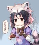  ahoge animal_ears bangs black_eyes black_gloves black_hair blue_shirt blush common_raccoon_(kemono_friends) d: eyebrows_visible_through_hair fur_trim gloves hair_between_eyes holding kemono_friends looking_down multicolored_hair open_mouth parted_lips puffy_short_sleeves puffy_sleeves raccoon_ears raccoon_tail sad shirt short_hair short_sleeves solo speech_bubble squeezing sukemyon tail toothbrush toothpaste translated trembling 