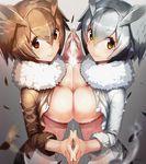  alternate_breast_size animal_ears bangs blurry blush breast_press breasts brown_eyes brown_hair closed_mouth clothes_lift commentary_request contrast cowboy_shot depth_of_field eurasian_eagle_owl_(kemono_friends) feathers fur_collar gradient gradient_background grey_hair hair_between_eyes hands_together highres kemono_friends large_breasts looking_at_viewer multiple_girls northern_white-faced_owl_(kemono_friends) red_eyes short_hair sleeves_past_elbows smile symmetrical_docking symmetry take_your_pick yamacchi 