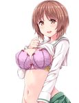  :d alternate_breast_size bangs blush bra breasts brown_hair cleavage eyebrows_visible_through_hair girls_und_panzer green_skirt hasu_(hk_works) large_breasts lifted_by_self long_sleeves looking_at_viewer navel nervous_smile nishizumi_miho ooarai_school_uniform open_mouth pink_bra pleated_skirt raised_eyebrows school_uniform serafuku shirt_lift short_hair simple_background skirt smile solo stomach underwear upper_body white_background 