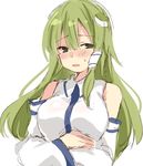  bangs blush breasts detached_sleeves eyebrows_visible_through_hair frog_hair_ornament green_eyes green_hair hair_between_eyes hair_ornament hair_tubes kochiya_sanae long_hair long_sleeves looking_at_viewer looking_to_the_side medium_breasts open_mouth paragasu_(parags112) sidelocks simple_background solo sweat touhou upper_body white_background 