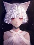  animal_ears bangs blue_background cat_ears closed_mouth commentary_request dress looking_at_viewer original red_eyes sakimori_(hououbds) short_hair solo wavy_hair white_dress 
