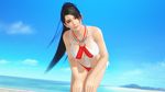  1girl 3d bikini black_hair breasts brown_eyes cleavage dead_or_alive dead_or_alive_extreme:_venus_vacation large_breasts long_hair momiji_(ninja_gaiden) official_art ponytail swimsuit 