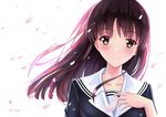  artist_name bangs brown_eyes brown_hair collarbone eyebrows_visible_through_hair floating_hair highres katou_megumi long_hair looking_at_viewer petals portrait saenai_heroine_no_sodatekata simple_background sion005 solo white_background 