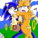  bpq00x marine_the_raccoon sonic_team sonic_the_hedgehog tagme 