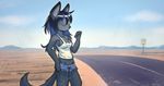  &lt;3 1_eye 2017 anthro black_hair breasts canine clothing cute cutoffs denim_shorts desert female fox fur grey_eyes grey_fur hair hitchiking long_hair looking_at_viewer mammal one_eye_closed ratcha_(artist) road scar shirt shorts sky solo tank_top teenager vixenchan vixendefea young 