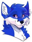  2017 absurd_res anthro black_markings black_nose blue_fur canine cheek_tuft chest_tuft countershade_face countershading cute digital_drawing_(artwork) digital_media_(artwork) facial_markings feve fox front_view fur head_tuft headshot_portrait hi_res inner_ear_fluff looking_at_viewer male mammal markings multicolored_fur neck_tuft portrait purple_eyes simple_background smile solo toony tuft two_tone_fur white_background white_fur 