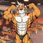  2017 abs anthro bada-butterfly balls better_version_at_source biceps big_muscles clothed clothing digital_media_(artwork) feline looking_at_viewer male mammal muscular muscular_male navel nipples pecs smile solo speedo standing stripes swimsuit tiger triceps 