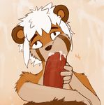  2017 animated anthro baaleze big_penis cheek_bulge cum cum_in_mouth cum_inside fellatio first_person_view hair male male/male mammal oral penis red_panda red_penis sex signature vein veiny_penis white_hair 
