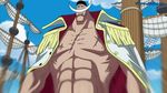  one_piece tagme whitebeard 