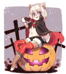  boots coat dog furry halloween open_mouth pumpking purple_eyes short_hair short_pants sitting stocking white_hair yuuki_(yuyuki000) 