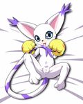  artist_request bed_sheet blue_eyes digimon furry gloves pussy smile spread_pussy tailmon tongue 