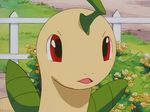  1girl angry animated animated_gif bayleef blush pokemon pokemon_(anime) red_eyes tsundere 