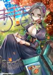  autumn bicycle book dress green_eyes ground_vehicle interitio leaf looking_at_viewer maple_leaf purple_dress sid_story silver_hair sitting solo sunlight veil veil_over_eyes writing 