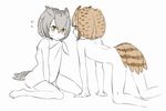  all_fours bird_tail brown_eyes brown_hair eurasian_eagle_owl_(kemono_friends) eye_contact eyebrows_visible_through_hair flat_chest grey_hair hair_between_eyes head_wings highres kemono_friends looking_at_another multicolored_hair multiple_girls northern_white-faced_owl_(kemono_friends) nude omucchan_(omutyuan) short_hair spot_color tail tail_feathers white_hair yellow_eyes 