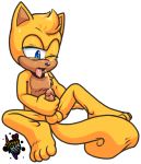  amuzoreh anthro balls cum cum_taste erection flying_squirrel fur male mammal masturbation nude open_mouth penis ray_the_flying_squirrel rodent sciurid self_taste solo sonic_(series) spread_legs spreading tongue tongue_out 
