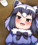 animal_ears black_bow black_gloves black_hair blush bow brown_eyes commentary_request common_raccoon_(kemono_friends) fang fennec_(kemono_friends) from_above fur_collar gloves grey_hair kemono_friends kobamiso_(kobalt) multicolored_hair multiple_girls purple_hair raccoon_ears wavy_mouth white_hair 