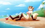  16:10 2018 anthro arthropod beach breasts brown_fur canid canine canis chest_tuft clothed clothing clovis_(twokinds) crab crossgender crustacean detailed_background digitigrade edit eyewear female feral footprint fox fur gloves_(marking) hi_res hybrid imminent_pain keidran leaning leaning_back looking_at_viewer lounging mammal marine markings midriff multicolored_fur nipples nude nude_edit outside pawpads pink_pawpads red_eyes seaside side_view sitting skimpy smile smirk socks_(marking) solo sunglasses tan_fur tom_fischbach tuft twokinds water webcomic white_fur wolf yellow_sclera 