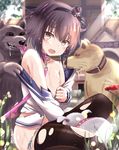  animal assisted_exposure bangs bestiality black_hair black_legwear blue_sailor_collar brown_eyes building collar collarbone day dog dog_penis eyebrows_visible_through_hair flat_chest hair_between_eyes hetero highres implied_cunnilingus inappropriate_animal kantai_collection kuroame_(kurinohana) leash licking long_sleeves looking_at_viewer lowleg_pantyhose nipples open_mouth outdoors panties panty_pull pantyhose penis rape_face sailor_collar shirt short_hair side-tie_panties solo_focus tears tokitsukaze_(kantai_collection) torn_clothes torn_legwear torn_shirt underwear white_panties 