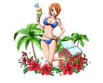  :d ass_visible_through_thighs barefoot bikini blue_bikini bodskih breasts brown_eyes cleavage collarbone flower food groin hand_on_hip hibiscus holding holding_food ice_cream large_breasts leg_up looking_at_viewer nami_(one_piece) navel one_piece open_mouth orange_hair palm_tree red_flower short_hair smile solo standing standing_on_one_leg swimsuit thigh_gap transparent_background tree 